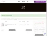LT Etch coupon verification screenshot