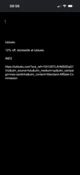 INES coupon verification screenshot