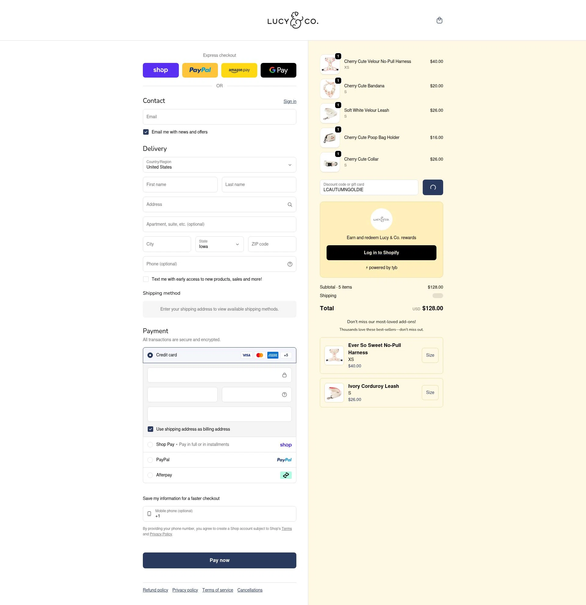 Lucy & Co. checkout page showing Lucy & Co. promo code box | Screenshot taken by SimplyCodes community member on Feb 4, 2026