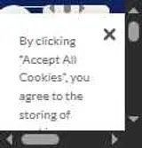 Luggage Free coupon verification screenshot