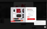 SNAKEFLEX20 coupon verification screenshot