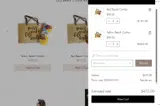 bonusnow coupon verification screenshot