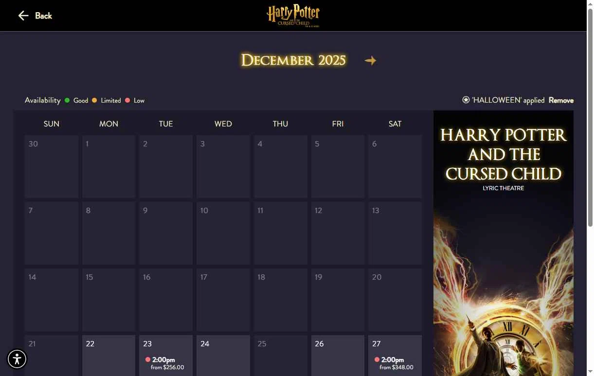 Lyric Theatre checkout page showing Lyric Theatre promo code box | Screenshot taken by SimplyCodes community member on Dec 22, 2025