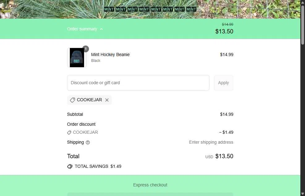 Mint Hockey checkout page showing Mint Hockey promo code box | Screenshot taken by SimplyCodes community member on Sep 15, 2025