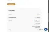 BUYNOW coupon verification screenshot