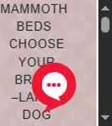 Mammoth Outlet coupon verification screenshot
