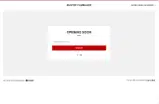 Mastershop10 coupon verification screenshot