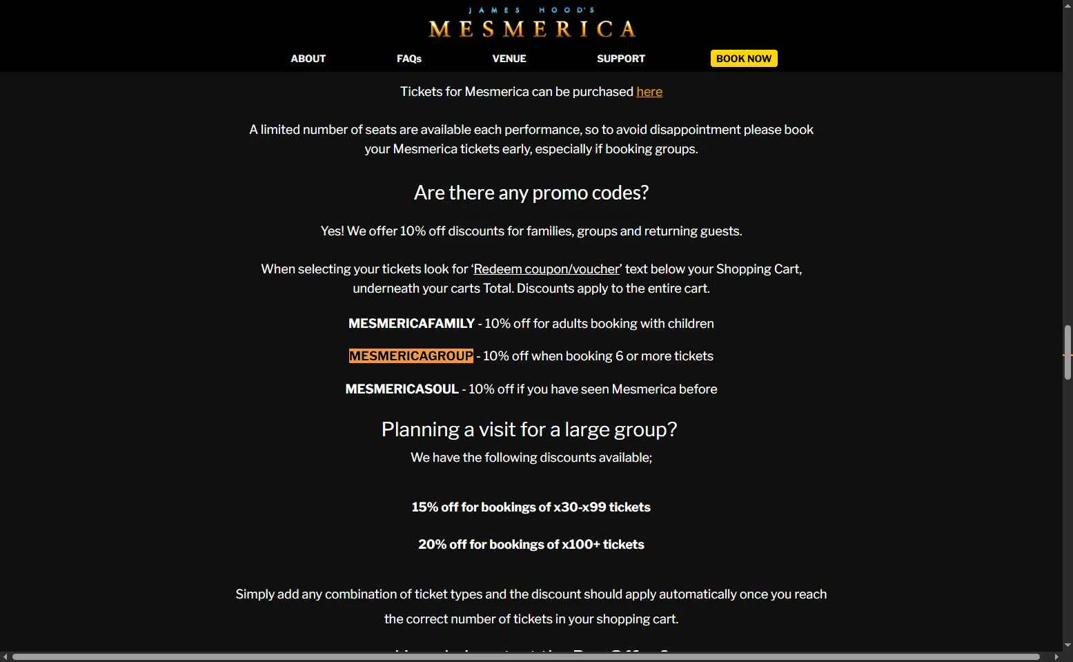 Mesmerica checkout page showing Mesmerica promo code box | Screenshot taken by SimplyCodes community member on Nov 26, 2025