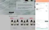 HOTFLASHBIG coupon verification screenshot