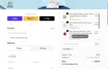 MichuPet coupon verification screenshot