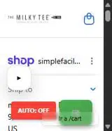 CHRISTINA10 coupon verification screenshot