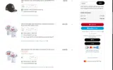 Minnesota Twins coupon verification screenshot