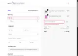 Mint Pineapple Boutique coupon verification screenshot