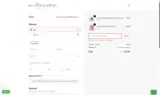 Mint Pineapple Boutique coupon verification screenshot