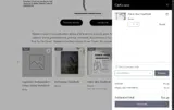 NEWSPRING coupon verification screenshot