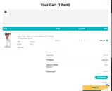 PSS10 coupon verification screenshot