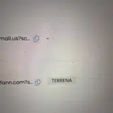 Momfann coupon verification screenshot