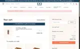 CAITLIN10 coupon verification screenshot