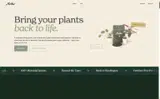 SAVE10 coupon verification screenshot