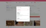 REPUBLIC200 coupon verification screenshot