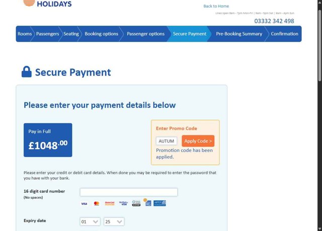 National Holidays checkout page showing National Holidays discount code box | Screenshot taken by SimplyCodes community member on Aug 28, 2025