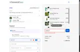 SPRING10 coupon verification screenshot
