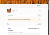 SPRING35 coupon verification screenshot
