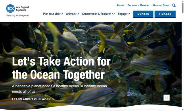 New England Aquarium checkout page showing New England Aquarium promo code box | Screenshot taken by SimplyCodes community member on Aug 18, 2025