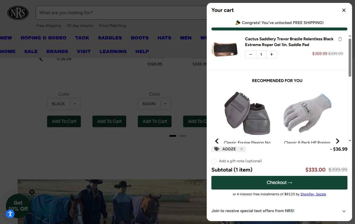 NRS World checkout page showing NRS World discount code box | Screenshot taken by SimplyCodes community member on Jan 30, 2026