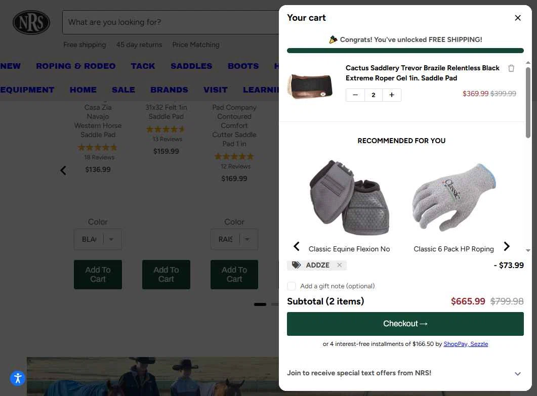 NRS World checkout page showing NRS World discount code box | Screenshot taken by SimplyCodes community member on Jan 30, 2026