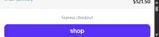 Odin Holsters coupon verification screenshot