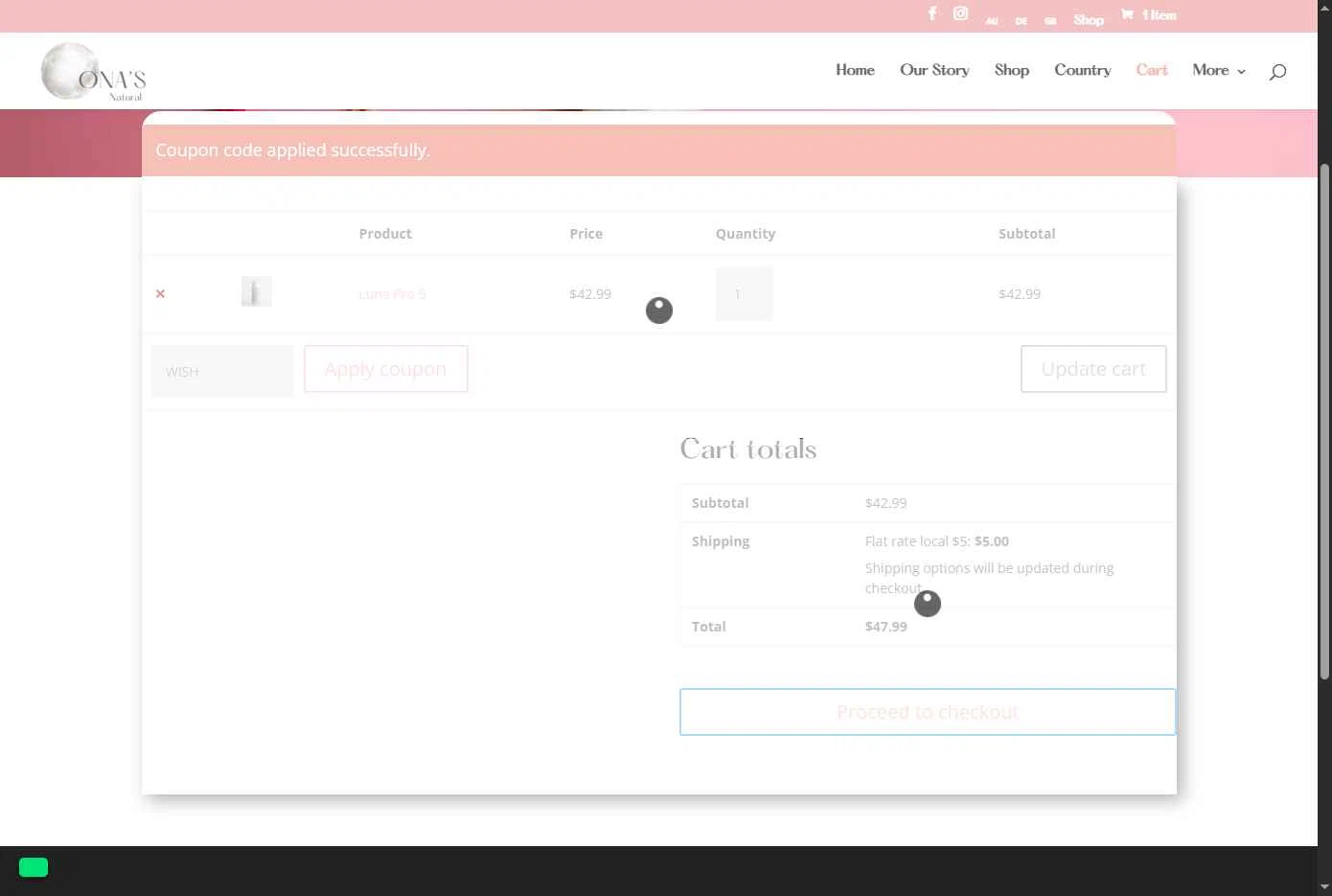 Ona's Natural checkout page showing Ona's Natural promo code box | Screenshot taken by SimplyCodes community member on Jan 4, 2026