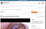 Opal Auctions coupon verification screenshot