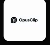 OPUS20 coupon verification screenshot