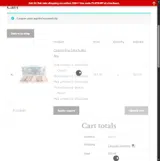 FLATSHIP coupon verification screenshot