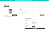 FLATSHIP5 coupon verification screenshot