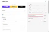 SAVE25 coupon verification screenshot