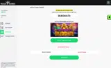 Palace of Chance coupon verification screenshot