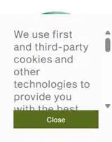 Panera Bread coupon verification screenshot