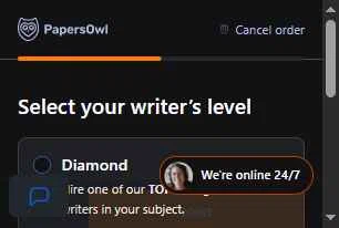 Papersowl checkout page showing Papersowl promo code box | Screenshot taken by SimplyCodes community member on Oct 13, 2025