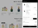 Parfums Vintage coupon verification screenshot
