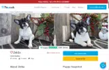Pawrade coupon verification screenshot