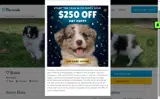 Pawrade coupon verification screenshot