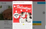 Pawrade coupon verification screenshot
