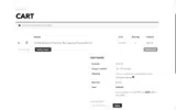 Peak Suspension coupon verification screenshot