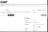 Peak Suspension coupon verification screenshot