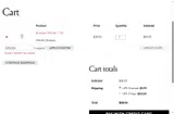 BP2025 coupon verification screenshot