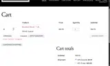 SPRING26 coupon verification screenshot