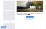 Pick My Postcode coupon verification screenshot