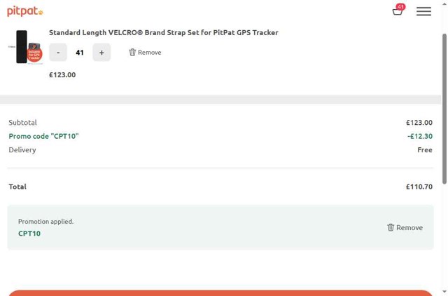 PitPat checkout page showing PitPat discount code box | Screenshot taken by SimplyCodes community member on Sep 1, 2025